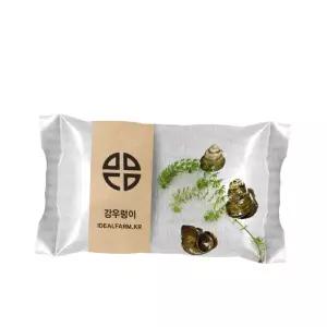 생태 관찰 학습용 강우렁이 논우렁이 어항 이끼 청소 애완용 생태관찰 관상용우렁이 물생활