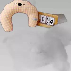 강아지 고양이 베개 체크 목 쿠션 세탁가능 애견용품