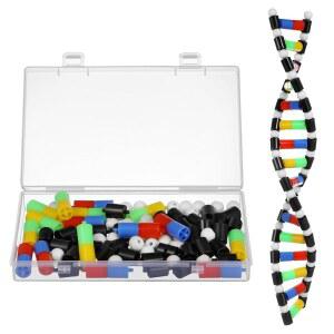 TOYANDONA DNA 모델 키트, 트위스터블 이중 나선 구조 모델, 학교 학생 과학 교육용 보관함 포함