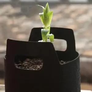 [RIZPICK]블랙 부직포 화분 가정용 재배 농작물 도시텃밭 텃밭만들기 5p 18x15cm