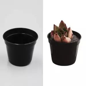 원형 화분 모종 미니 다육이화분