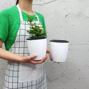 중형 자동급수화분 원형 자동급수 화분 저면관수