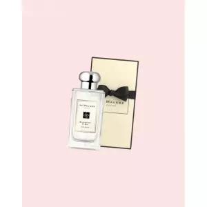 조말론 런던 블랙베리 앤 베이 코롱 향수 오드코롱 EDC 퍼퓸 100ml 3541791