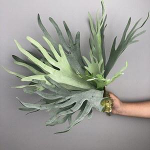 인공 사슴 PTERIDOPHYTE 다육 식물 결혼식 야외 바닥