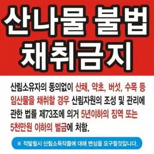 산나물채취금지 변색없는현수막 24호솔벤90cm-90cm