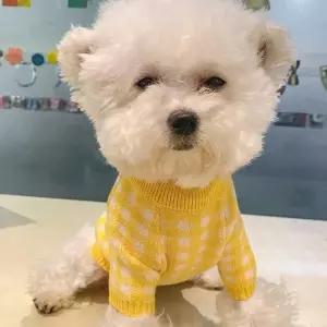화사한 예쁜 데일리 반려견 푸들 니트 스웨 쇼핑몰