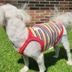 강아지 스트라이프 슬리브 2XL 1P 반려견 여름옷 애견