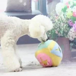 위아 킁킁볼 토끼킁킁볼 노즈워크 간식볼 사각