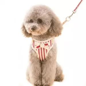 예쁜 비비드 고양이 강아지 목줄 가슴줄 위 대형견