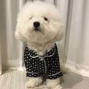 반려견 블랙 핑크 세미 유광 커플 실내복 강아지옷