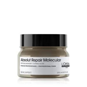 클리닉극손상케어 로레알 프로페셔널 앱솔루트 리페어 몰큘러 마스크 250ml 4069086
