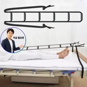지금 필요한 야생화 혼합 정원 꽃씨 종자 부용화 씨앗 꽃씨앗 품종 100립
