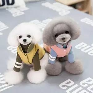 강아지 아무 고양이 조끼 의류 깔깔이옷 용옷 무스탕