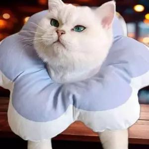 힐링타임 강아지 넥카라 애견 목보호대 깔대기 S