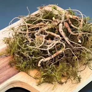 강원도 자연산 산양삼 산삼 4년근 가정용 20뿌리 +2뿌리 추가 복날이벤트