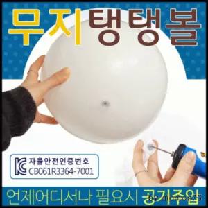 모하니  비치볼 비치볼/물놀이공/워터볼/장난감공/탱탱공/어린이용 고무공/물놀이용품 (서기몰)