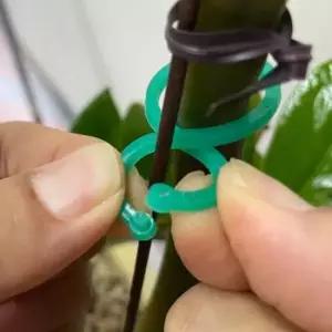 조롱박 식물지지대 오이집게 식물고정클립 20P