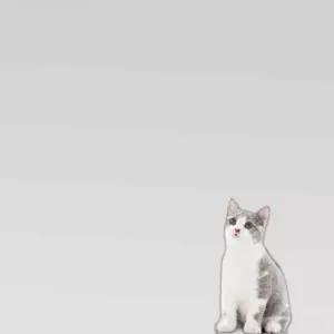 PET 2단 고양이 낚시대 와이어 단품