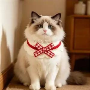 반려동물 고양이 스카프 리본 이목 겨울 데일리