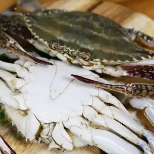풀잎푸드 서해안 급냉 숫꽃게2kg(10~12미내외)