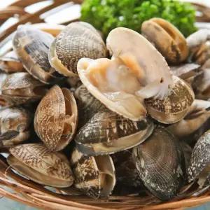 건담농수산 활 살아있는 바지락 1KG 제철조개 생 국산