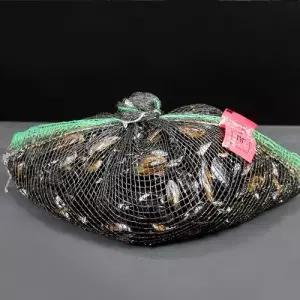 홍합 1KG 업소 국산 여수