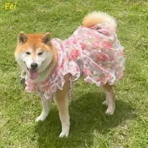 여름 얇은 메쉬 애완견 옷 패션 꽃무늬 핑크 공주 드레스 중대형견 사모예드 골든 리트리버