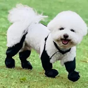 조절 가능한 반사 기능 강아지 신발 고무 밑창 미끄럼 방지 방수 부츠 사계절 야외 산책용