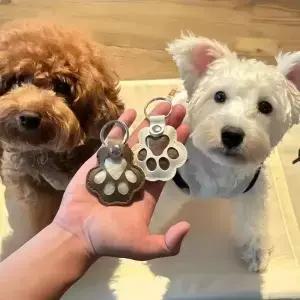 강아지 고양이 털 보관 귀여운 펜던트 키체인 가방 커플 자동차 애완동물 컬렉션 선물 장식 액세서리