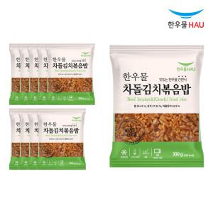 한우물 차돌김치 볶음밥 300g x 10개