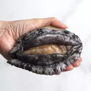완도사랑 귀한분께 드리는 특별한보양식 1.5kg 특대 전복선물세트