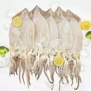 늘푸른 손질오징어 500g 1팩