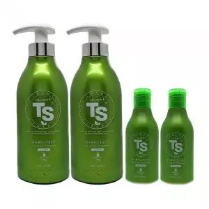 TS 올 뉴 플러스 샴푸 500g + 100g (휴대용) 탈모케어 2세트 Ss