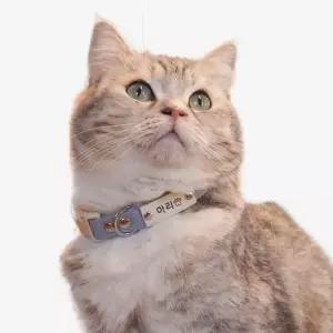 고양이 전용 인식표 순면 이름표 목줄