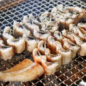 국내산 자포니카 민물장어 1kg 손질후 600g 1-3마리 (소스2종, 초생강증정)