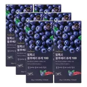 빌록시 블루베리 퓨레 100 20gX14포X6박스25211090672009