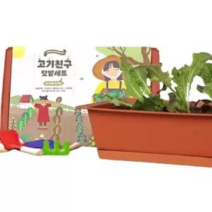 쌈채소 적겨자 상추 씨앗 흙 화분 베란다텃밭
