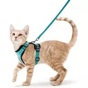 걷기용 고양이 및 가죽끈 탈출 방지 소프트 조절식 조끼 Easy