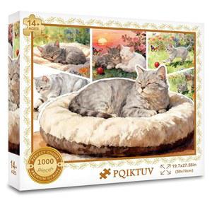 성인용 PQIKTV 퍼즐 1000피스 고양이 인생 직쏘 가족 벽 장식 불가능한 도전 발렌타인 친구 부모님을 위한 재미있는 선물 (27.56x19.7인치)