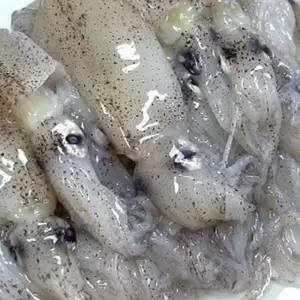 라이즈올 냉동 호래기 1kg 수납