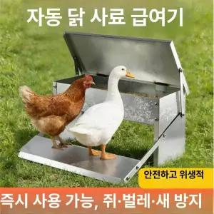 닭 오리 거위 자동 급식기 방수 사료통 방충 방새 먹이통