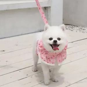 플라워 탄탄한 레이스 강아지 고양이 하네스