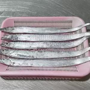제철 국내산 생물 먹갈치 1kg