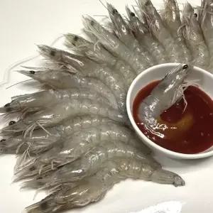 국내산 활 흰다리새우 1kg