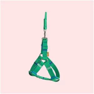 바잇미 캔디크레용 하네스 (6컬러) 4208266