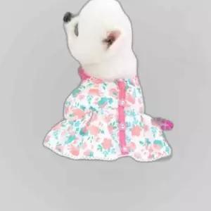 강아지 시어서커 크롭 드레스 핑크 여름 1P 치마 애견