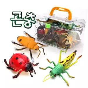 곤충모형 곤충장난감 사파리 아톰산업