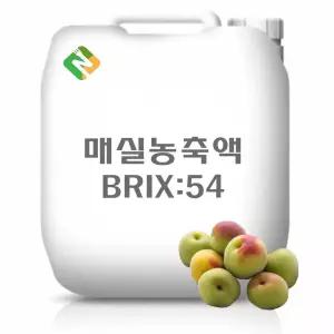 매실농축액 20kg과일 추출 야채 과채 과즙 한방 농축