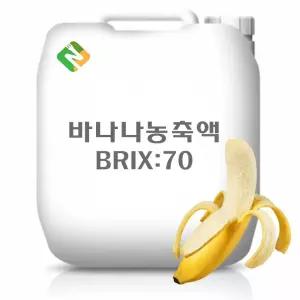 바나나농축액 20kg과일 추출 야채 과채 과즙 한방 농축