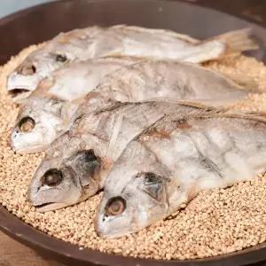 백조기 보리굴비 1.4kg내외 10미